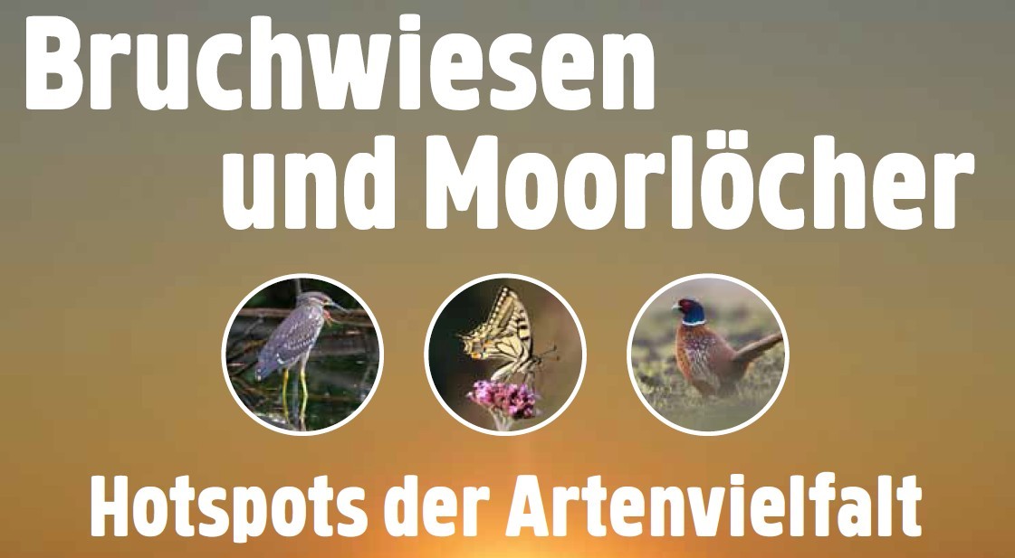 Flyer Ausstellung