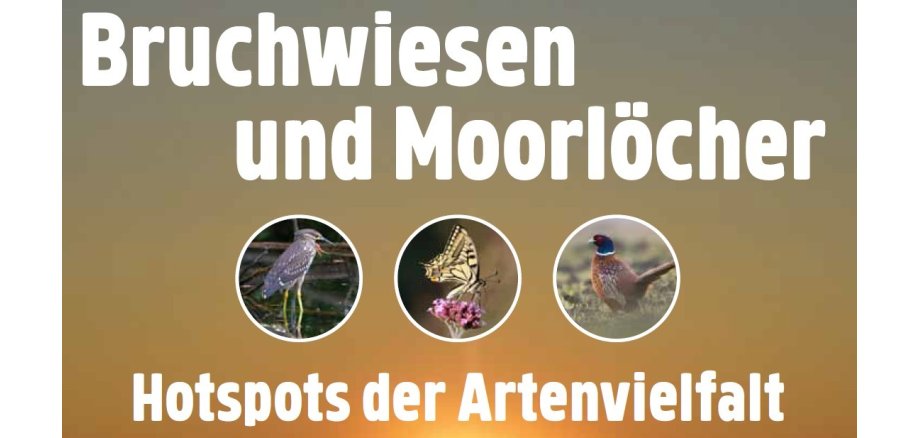 Flyer Ausstellung