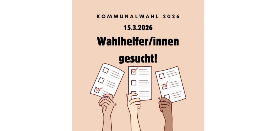 Beige Minimalistisch Einfach Bold Illustration Wahlen Europawahl Information Instagram Post - 1 Bild Wahlhelfer gesucht