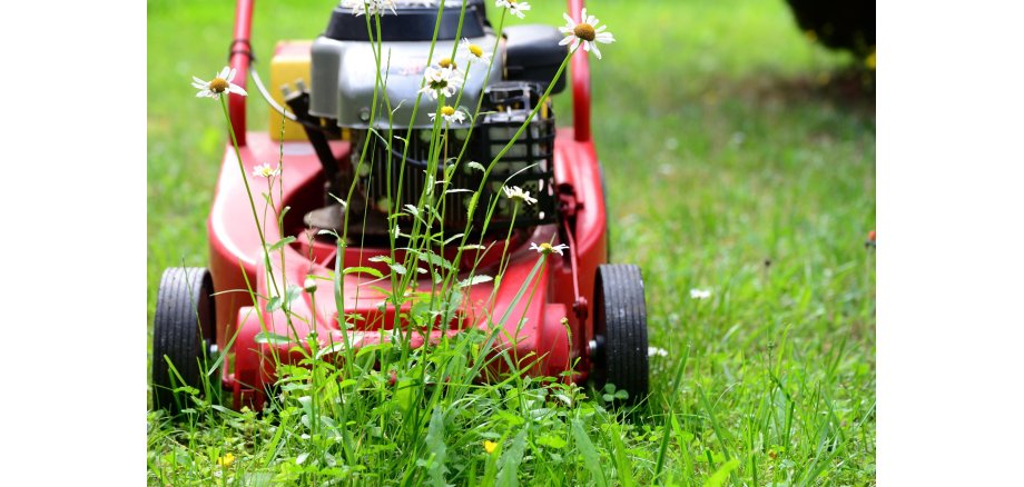 Rasenmäher auf Wiese