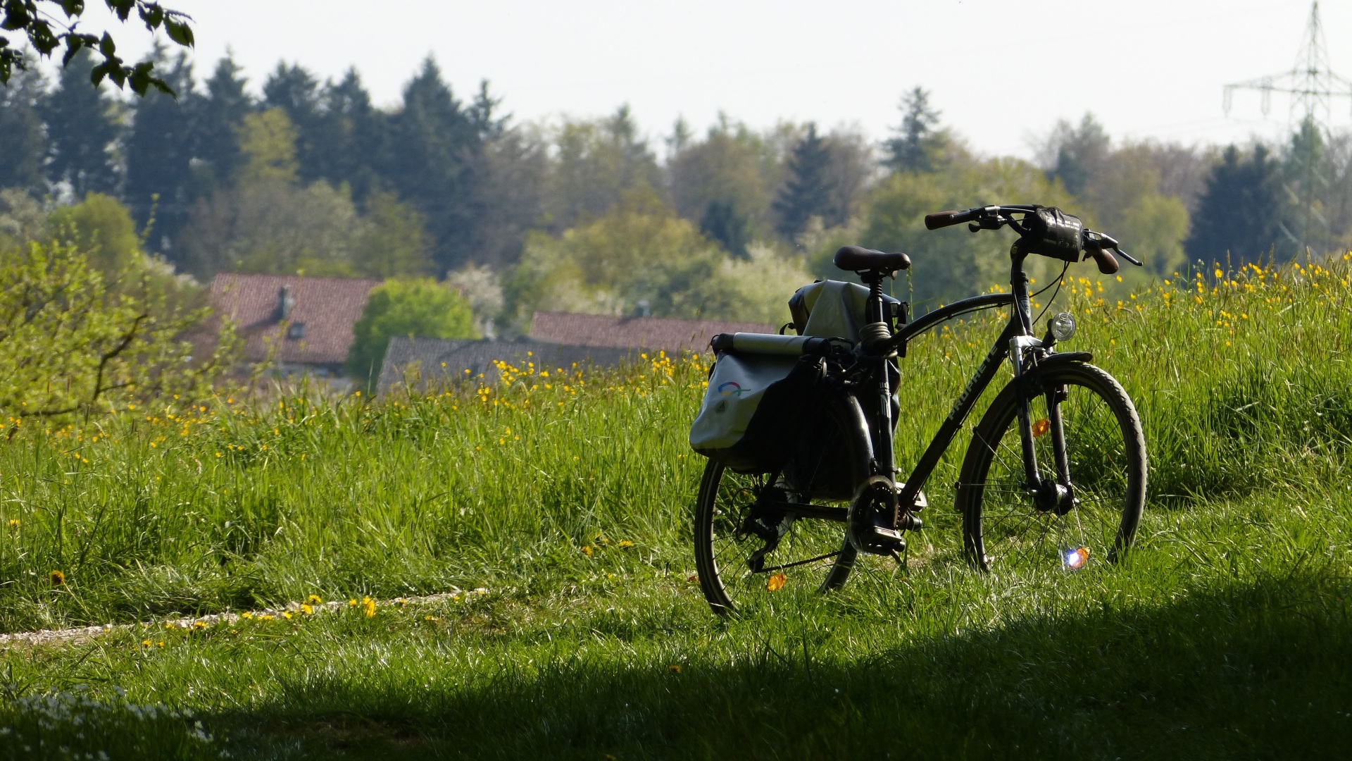 Fahrrad auf der Wiese