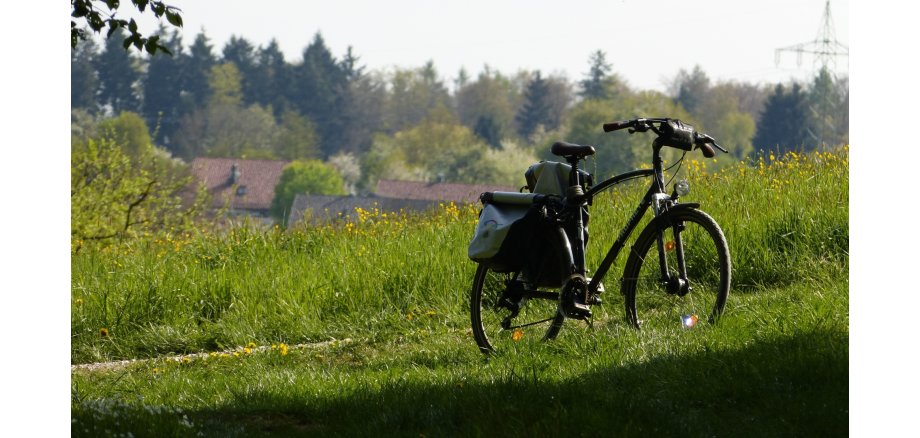 Fahrrad auf der Wiese