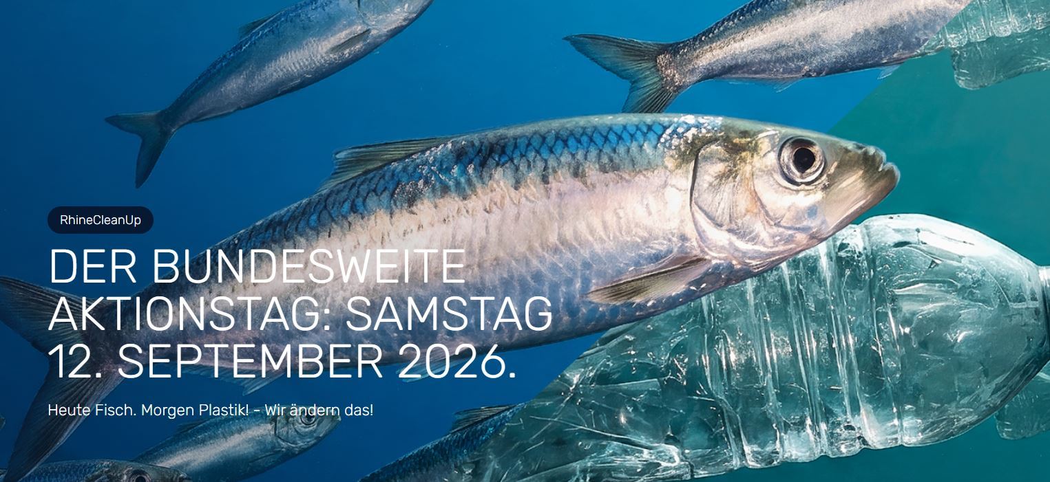 RhineCleanUp Ausschnitt Aktionstag
