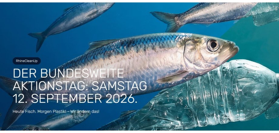 RhineCleanUp Ausschnitt Aktionstag