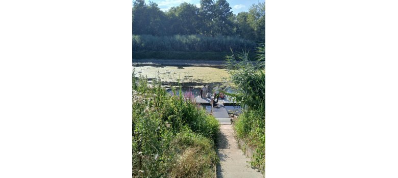 Ufer am Altrhein