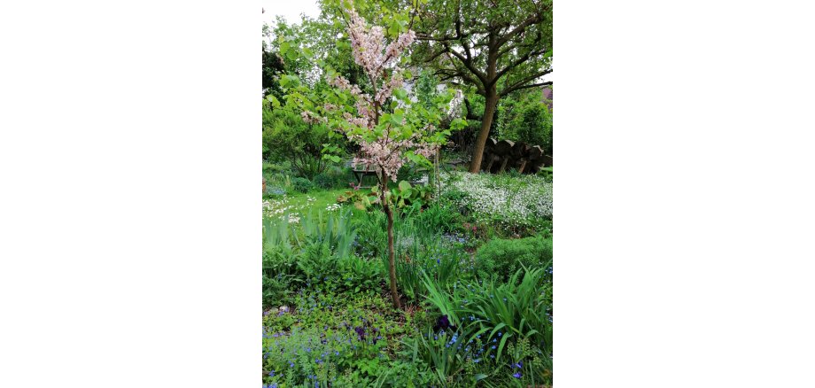 Blühender Baum im Garten