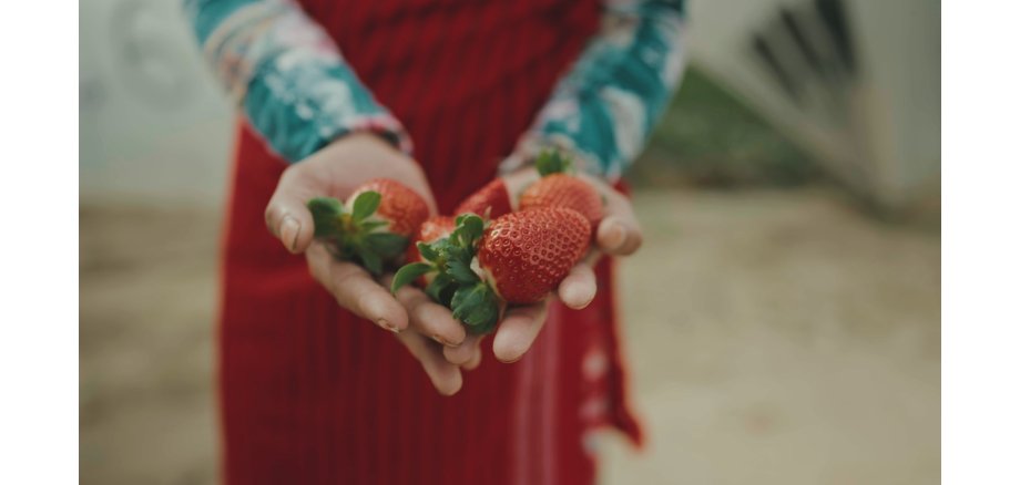 Frauenhände die Erdbeeren halten