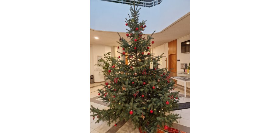 Wunschbaum im Rathaus Büttelborn