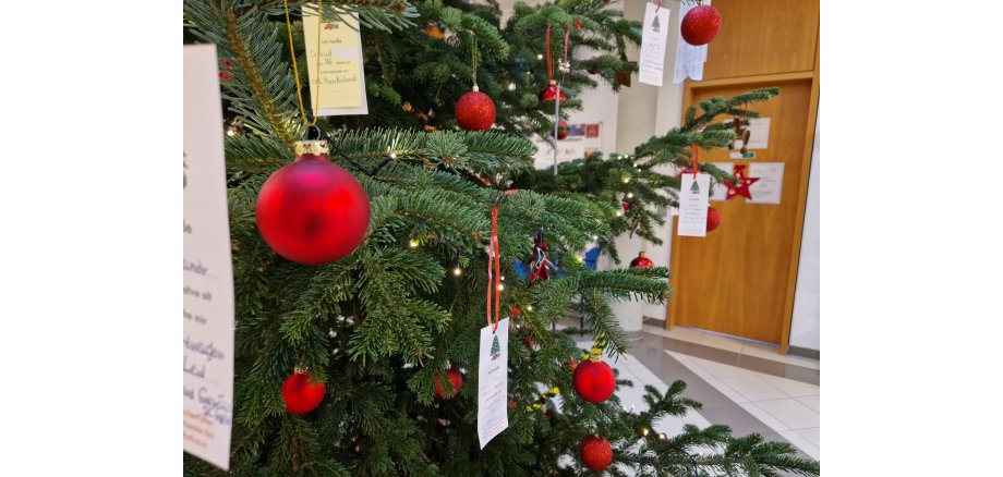 Ausschnitt Foto Wunschbaum Rathaus Büttelborn