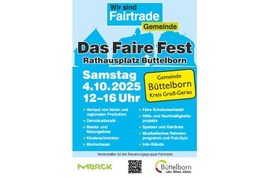 Flyer Faires Fest